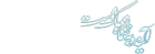 محسن جمشیدی زرمهری